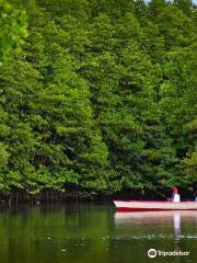 Mangrove Center Graha Indah