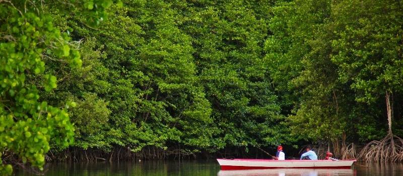 Mangrove Center Graha Indah