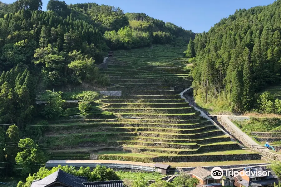 Ishizumi Rice Terraces