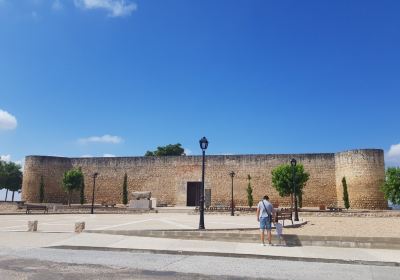 Alcazar de Toro