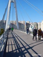 Пешеходный мост Павшинская пойма