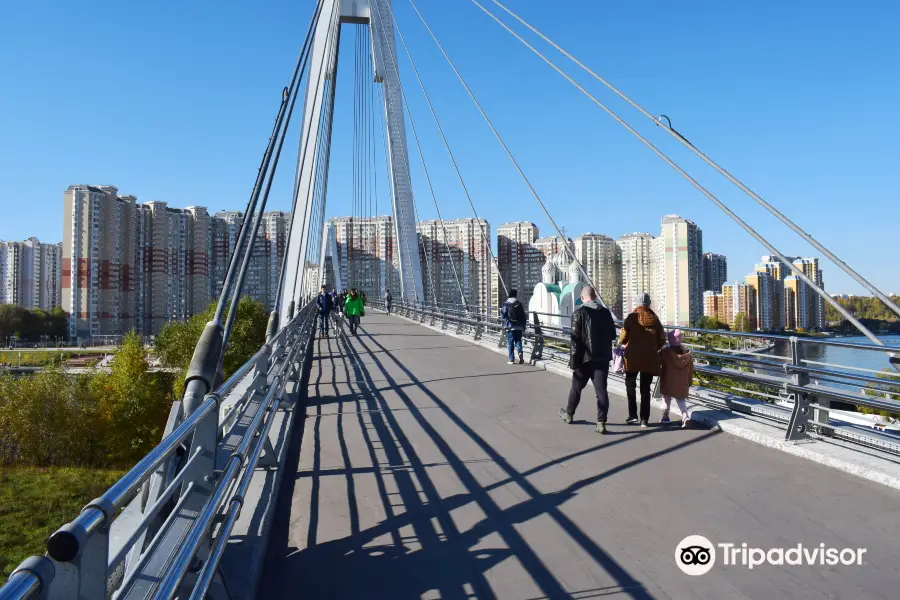 Pedestrian Bridge Pavshinskaya Poima