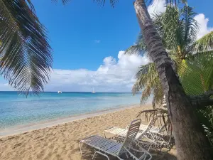 Discovery Beach Bar & Reef Grill