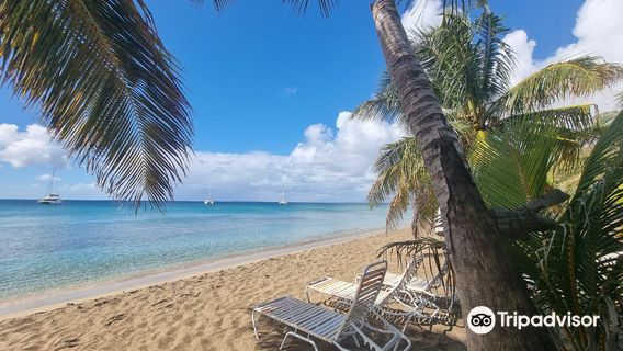 Discovery Beach Bar & Reef Grill