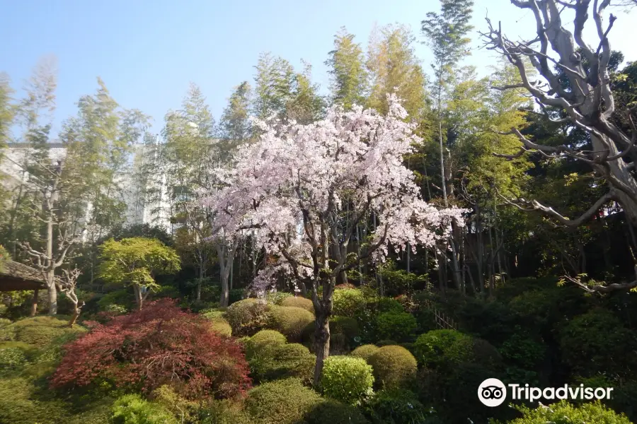 Yakushi Fountain Garden