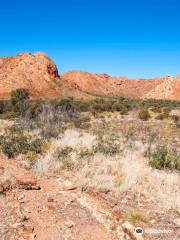 Tnorala (Gosse Bluff) Conservation Reserve