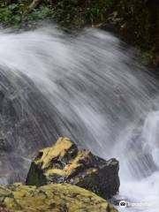 Arinta Waterfalls