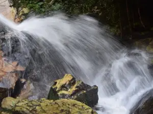 Arinta Waterfalls