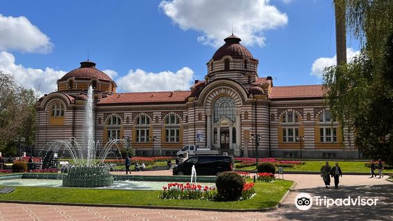 Sofia