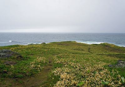 日の出岬