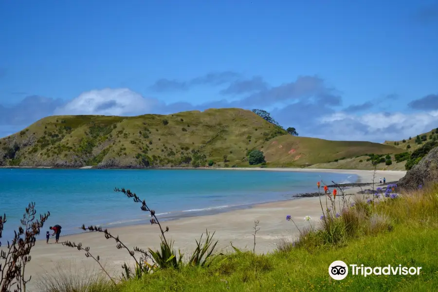 Opito Bay Beach