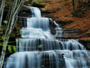 Parco Nazionale delle Foreste Casentinesi, Monte Falterona e Campigna