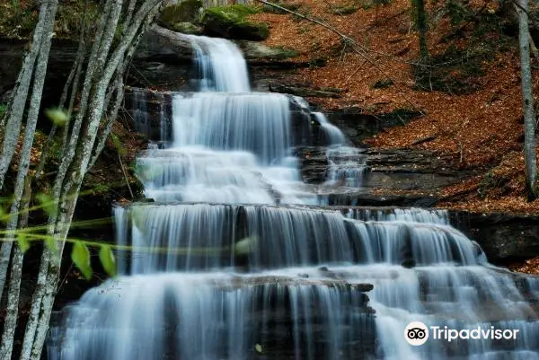 Parco Nazionale delle Foreste Casentinesi, Monte Falterona e Campigna