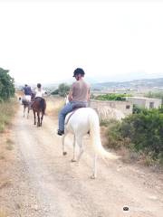 Paros Horse Riding Center - Thanasis Farm