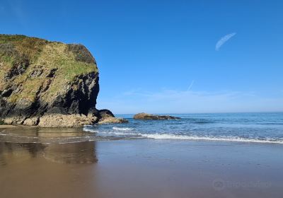 Llangrannog Beach