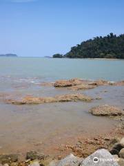 Pantai Penyabung