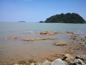 Pantai Penyabung