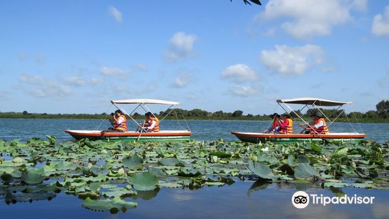Tram Chim National Park