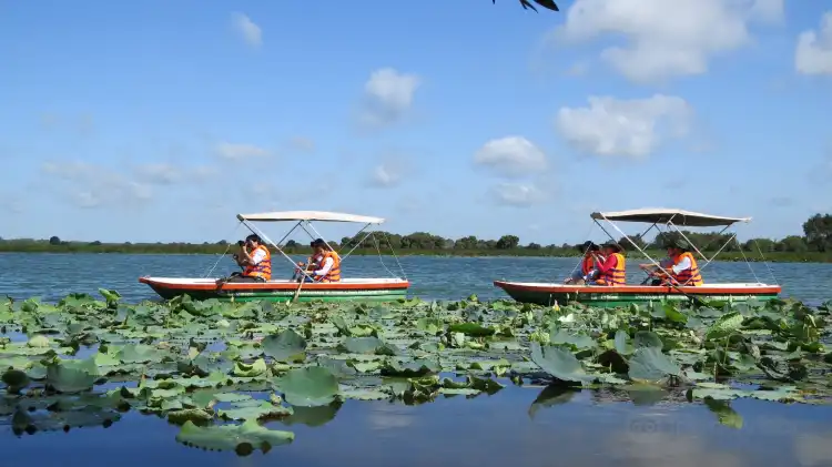 Các khách sạn ở Tam Nông