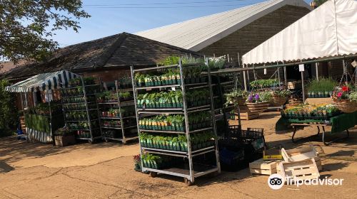 Wykham Park Farm Shop