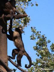 Parque Zoológico de Lagos