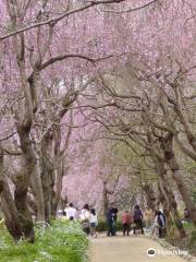 常陸風土記の丘