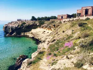 Platja Arrabassada