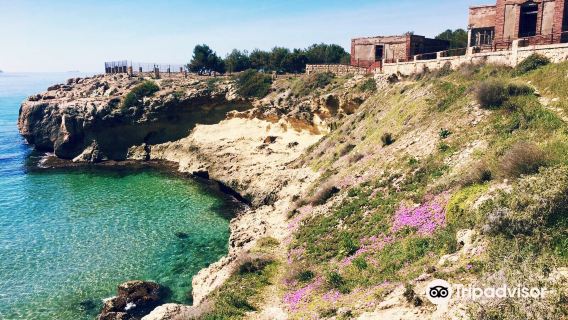 Platja Arrabassada