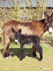 Hamerton Zoo Park