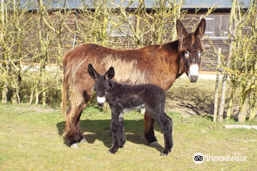 Hamerton Zoo Park