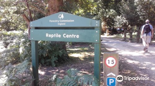 New Forest Reptile Centre