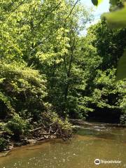 Waterfall Glen Forest Preserve