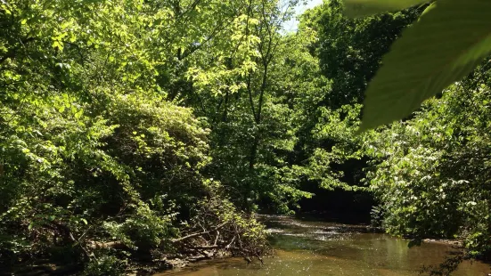 Waterfall Glen Forest Preserve