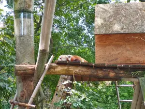 Pécs Zoo