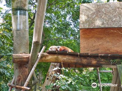 Pécs Zoo