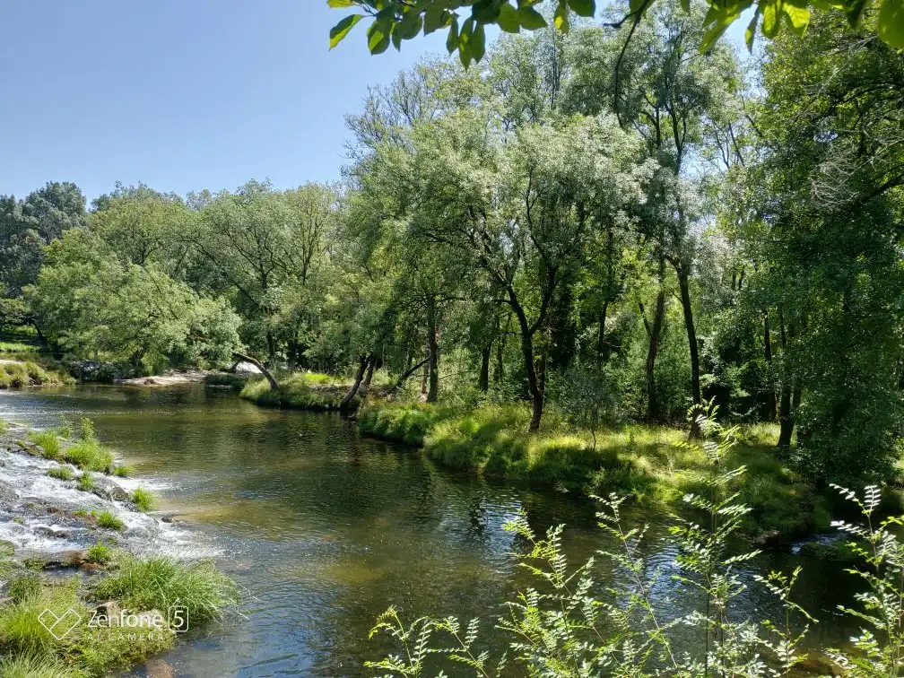 Hotels near Vez River