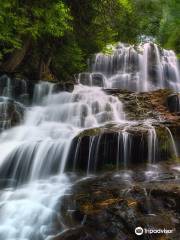 Beaver Brook Falls Natural Area