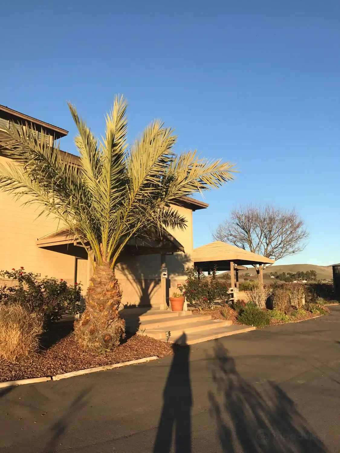 Hotels near Darcie Kent Estate Winery