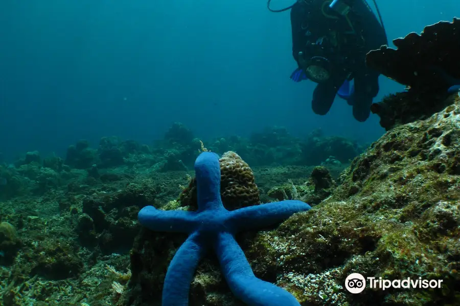 Bali Breizh Divers