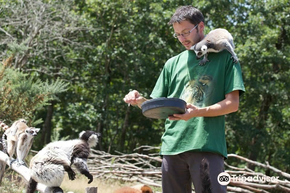 Natur'Zoo Mervent