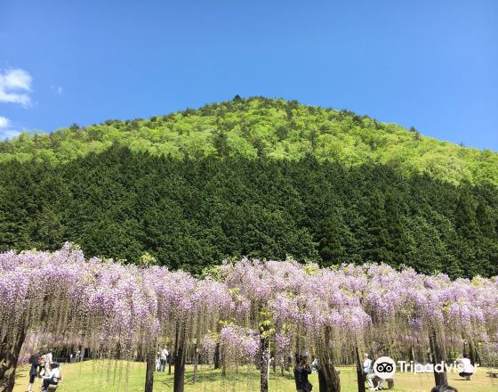 福知山市 自由行套票