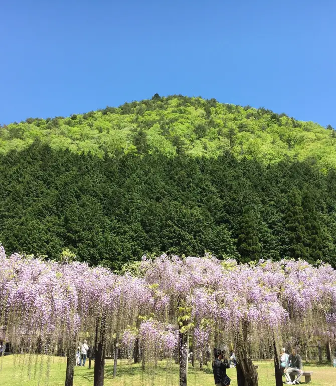 Fukuchiyama