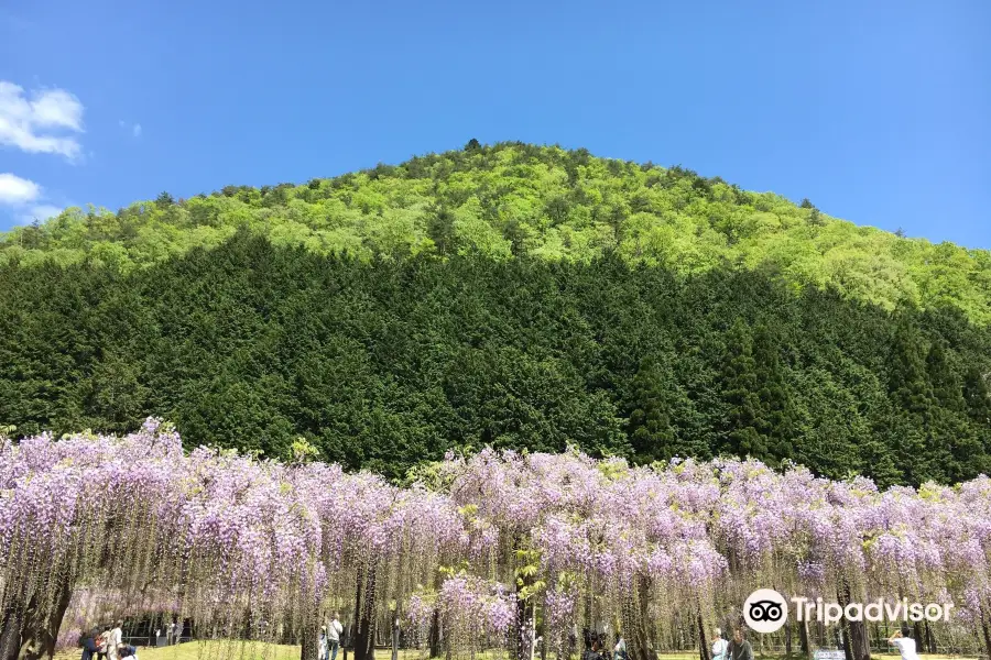 Shirai Omachi Fuji Park