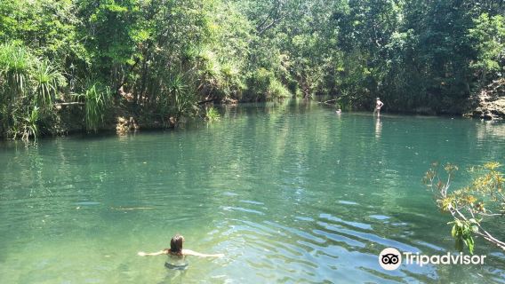 Berry Springs Nature Park
