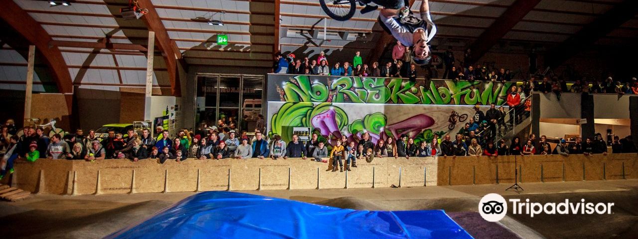 PfaffikonBoat experiences