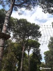 Il Pineto Parco Avventura