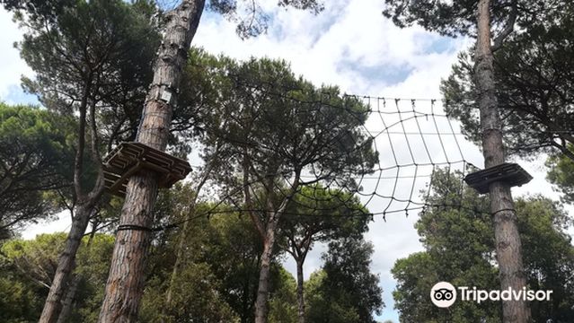 The Adventure Park Pineto