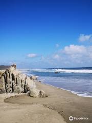 Playa La Bocana