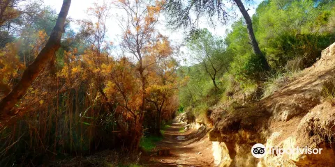 Ruta Senderista Rio Seco
