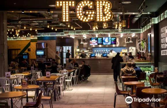 阿羅約摩利諾什